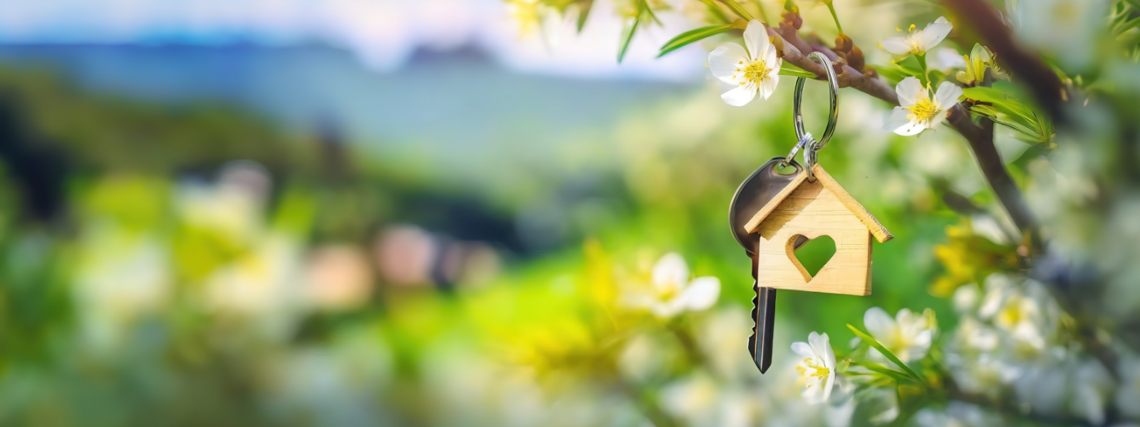 picture of a wooden house on the keychain with key, hanging off a tree in springtime